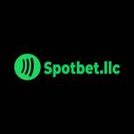 Spotbet Platform Profile Picture