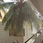 birdspikes Profile Picture