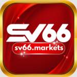 sv66 markets Profile Picture