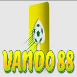 Vando88 Profile Picture