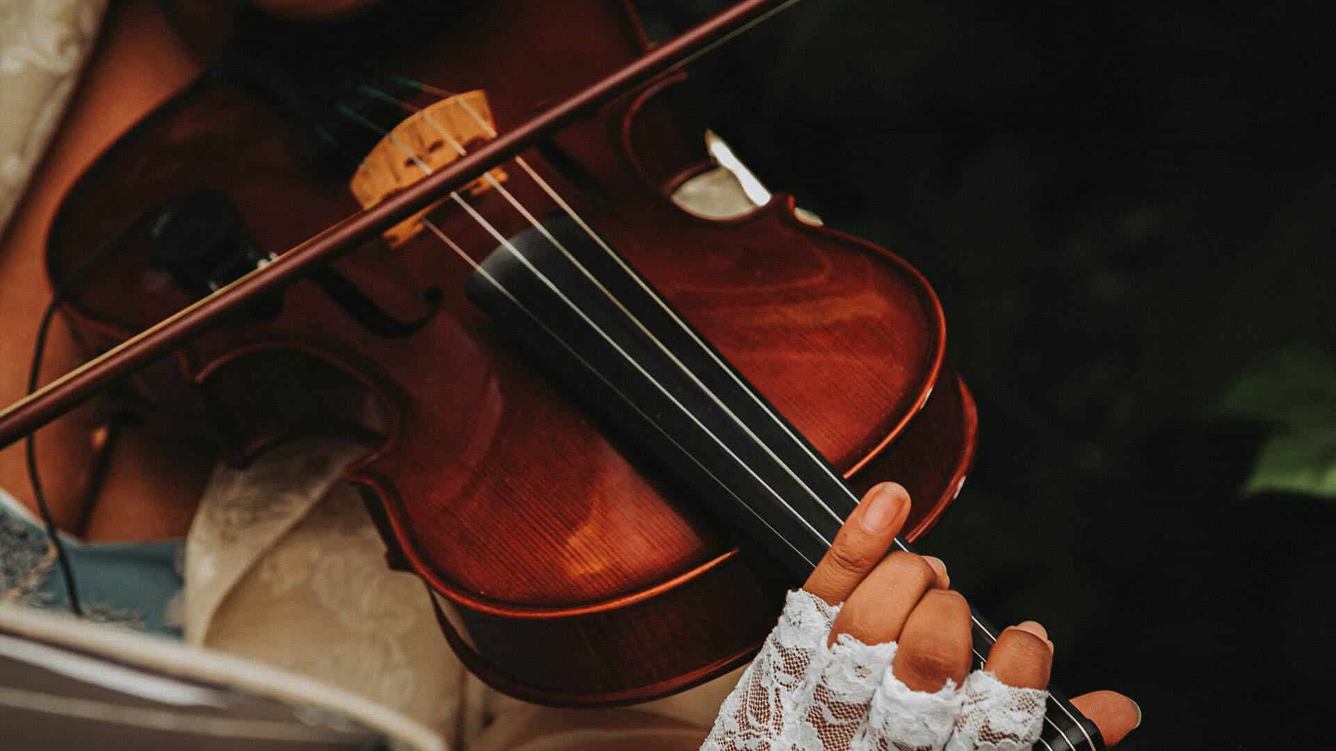 String Quartet Sydney Hire For Weddings And Events