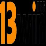 13WIN org Profile Picture