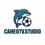 caheotv studio Profile Picture