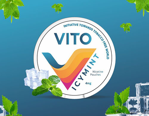 Buy Nicotine Pouches in Bulk-Flavored Nicotine Pouches USA